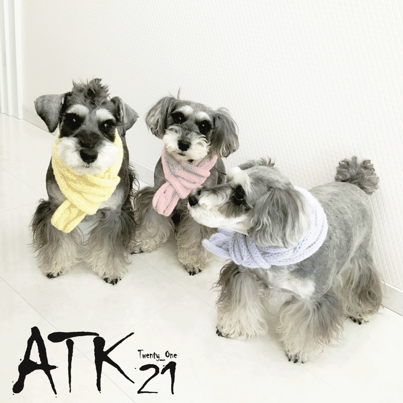 ハンドメイド 手作り 犬用マフラー 縄編みマフラー 愛犬 寒がりのわんこに 冬の防寒アイテム