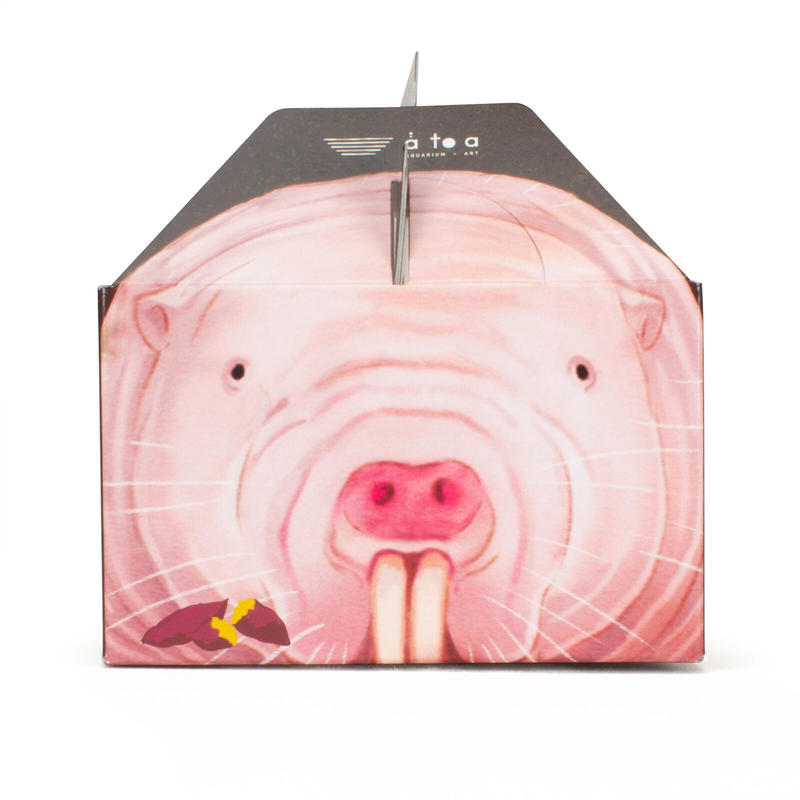 予約販売 ハダカデバネズミのスイートポテト Atoa Museum Shop アトアミュ