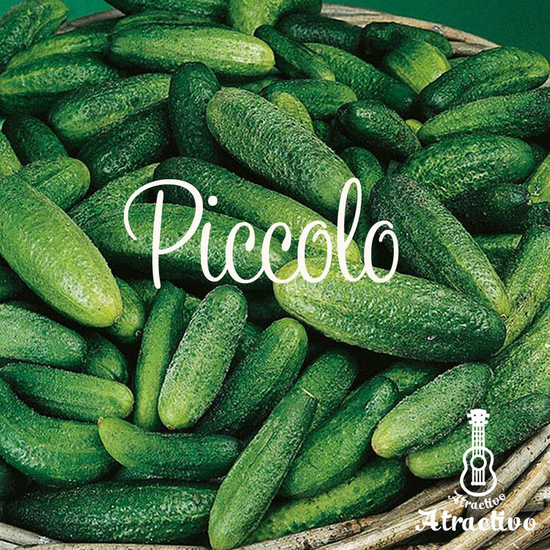 イタリア野菜のミニキュウリ ピッコロの種 イタリア野菜 西洋野菜と種子通販 販売 アトラク