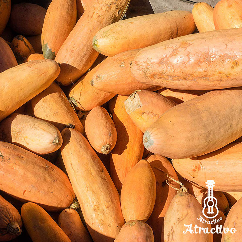 アメリカで100年以上前から栽培されている ピンクバナナかぼちゃの種 イタリア野菜 西洋野