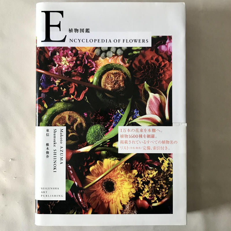 品質検査済 植物図鑑様専用 ワンピース Kokunai Haisou