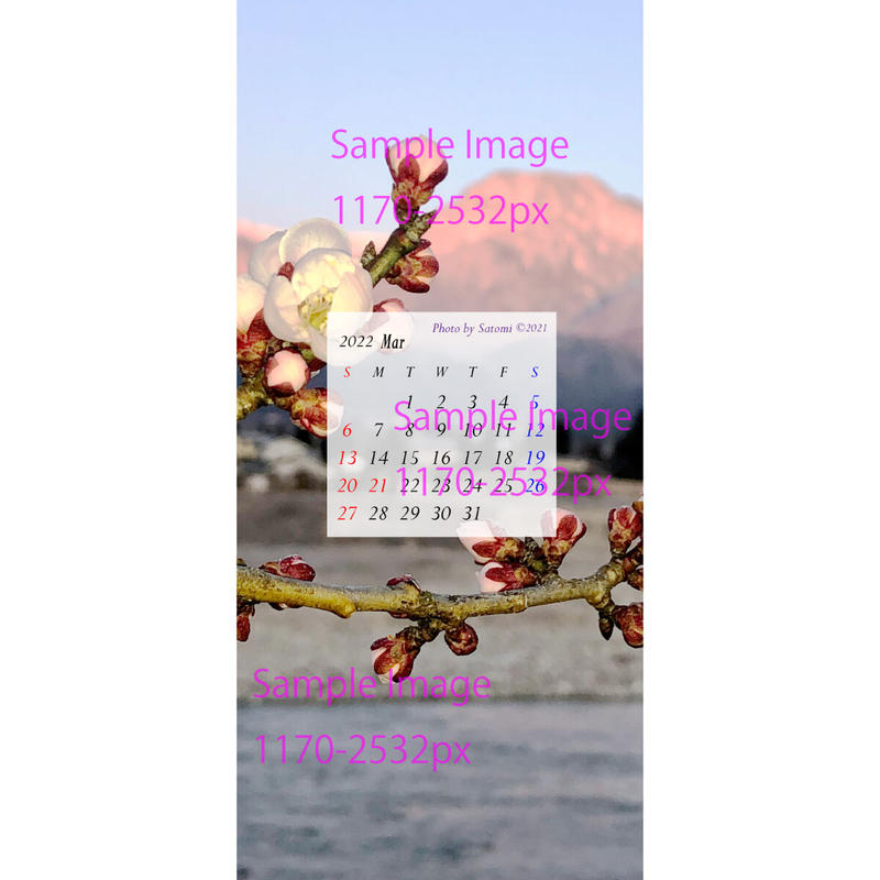 22 03月用 スマホ壁紙カレンダー 朝焼け有明山と白梅 Support Az Comストア