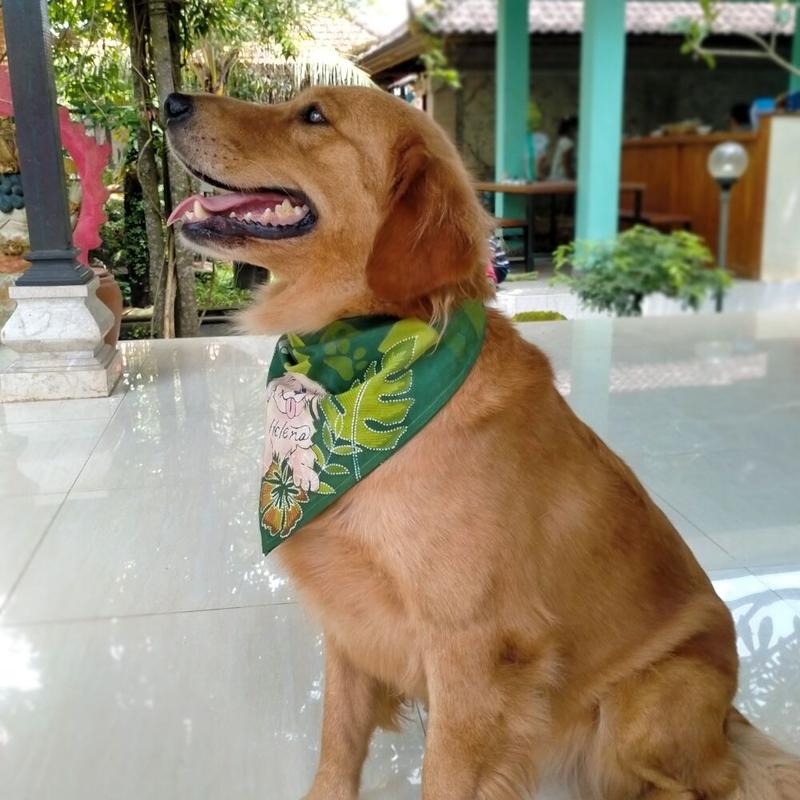 Dogシリーズ 名前入りバンダナ ゴールデンhelena 中 大型犬用 サンプル Bali Dogシリーズ 名前入りバンダナ ゴールデンhelena 中 大型犬用 サンプル Bali