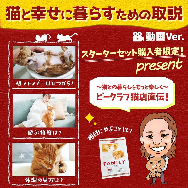 スターターセットlタイプ ナチュラルウッド 飼育準備で迷ったらコレ 子猫のしつけ時期から成