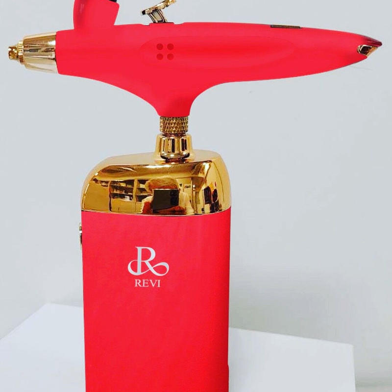 愛用 スプレーガン REVI - コーヒーメーカー - alrc.asia 堅実な究極の REVI ハンディースプレーガン 新品未使用 その他