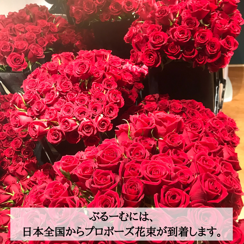 プロポーズ花束 押し花アート プティ Bloom 押し花アート バラの花束 Pricing Horizonyc Com