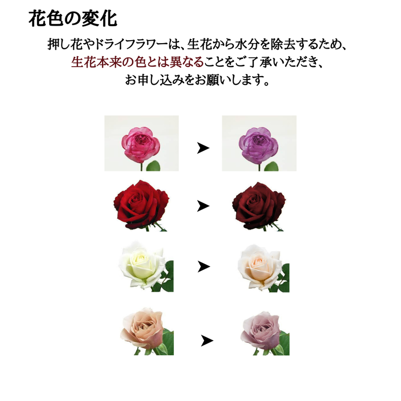 押し花アート バラの花束 Pricing Horizonyc Com