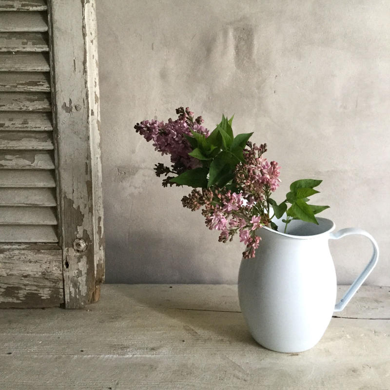 Edward Jug エドワード ジャグ ホーローピッチャー ホワイト 1l Blos