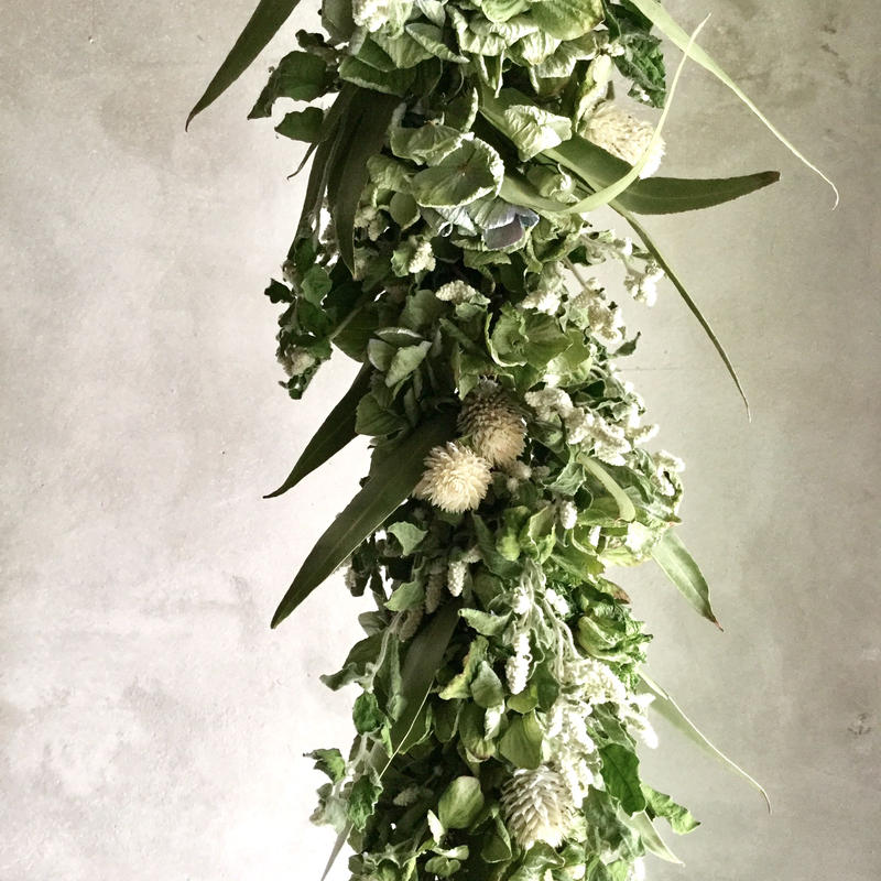 Dried Silver Cats Garland Swag シルバーキャットのガーランドス