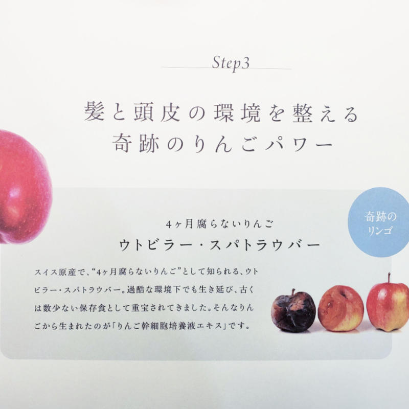 Salonオリジナル 天使のわっか髪 シャンプー トリートメント セット 頭皮と髪の病院