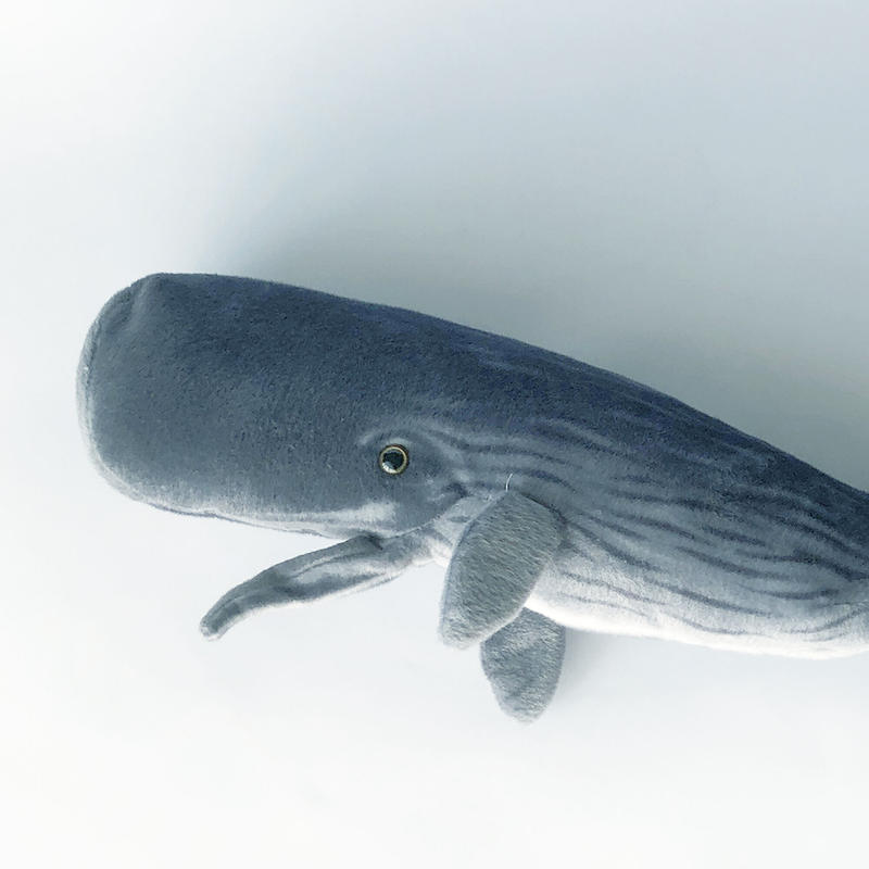 select ぬいぐるみ Sperm Whale Pillow マッコウクジラ クッシ