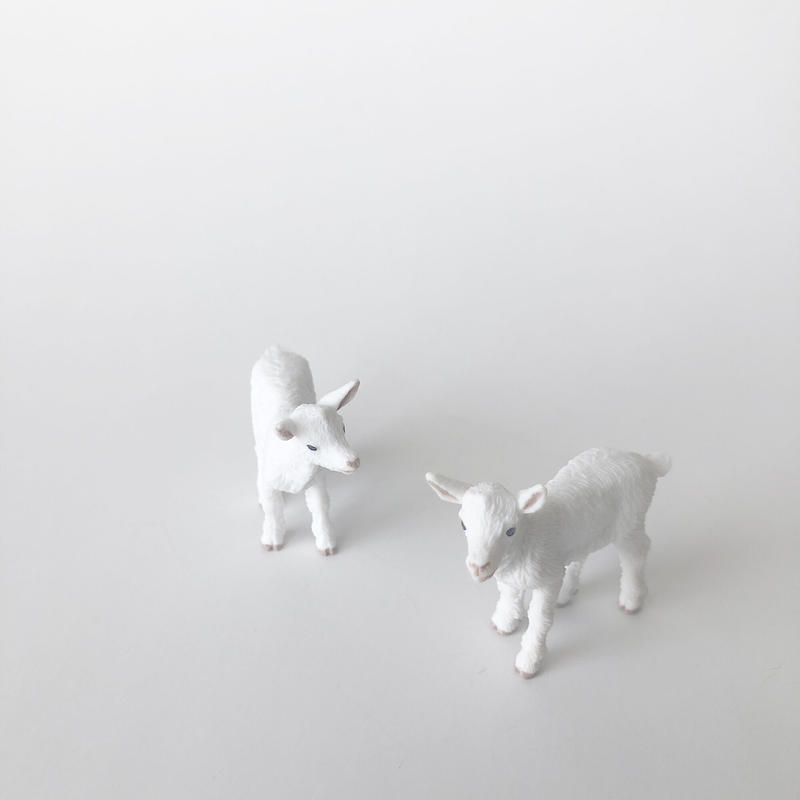 select フィギュア Baby Goat 仔ヤギ Safari はちみ