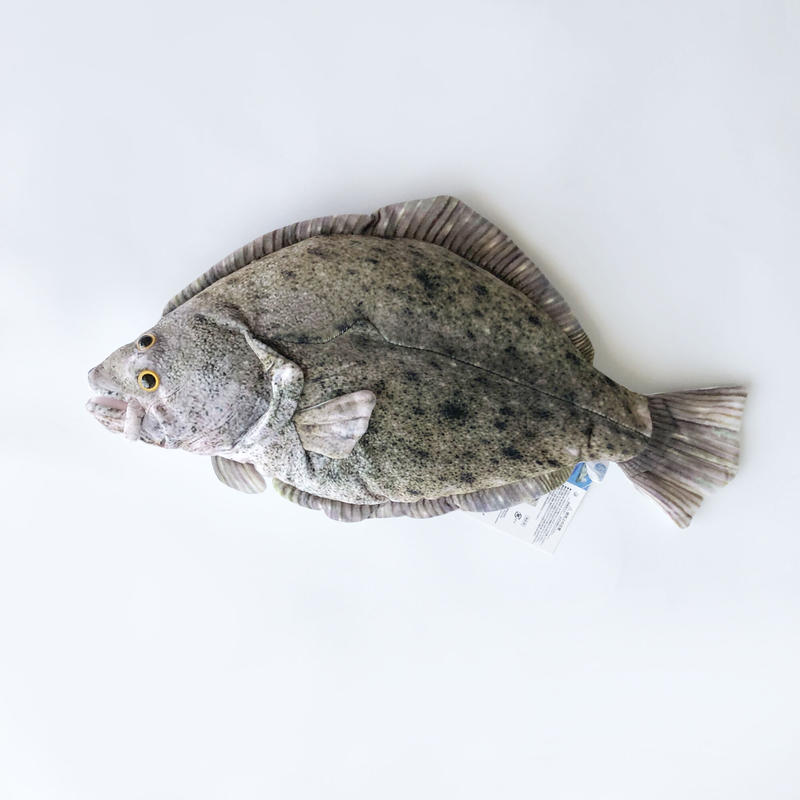 select さかなクン 監修 ぬいぐるみ ヒラメ はちみせ