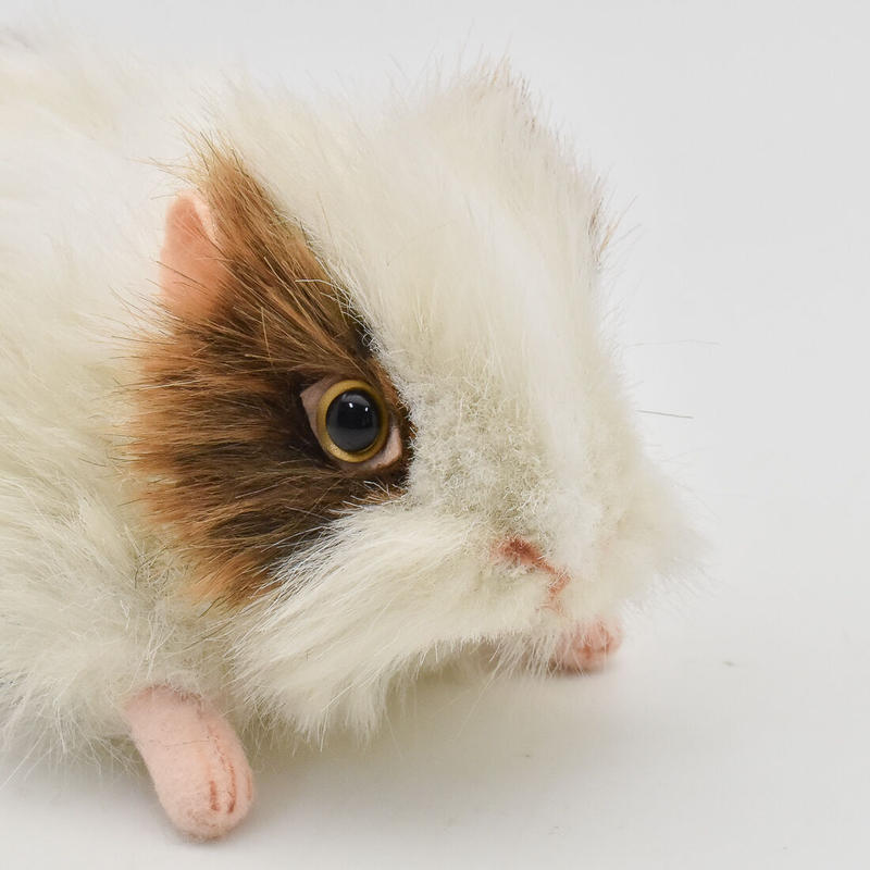 ぬいぐるみ モルモット テンジクネズミ Hansa はちみせ