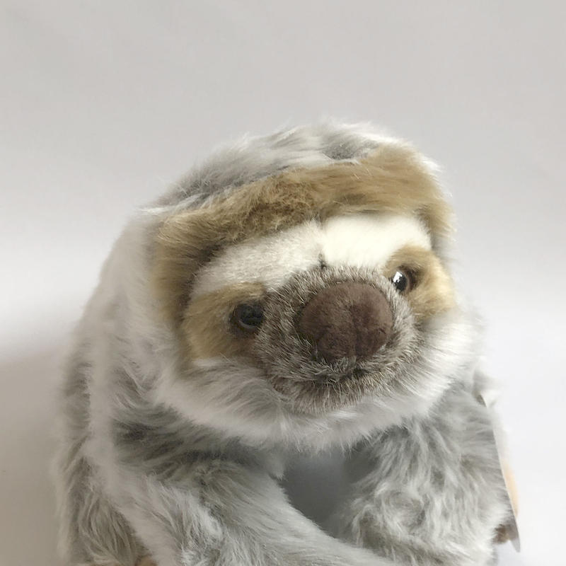 ナマケモノ様専用 ナマケモノ様専用
