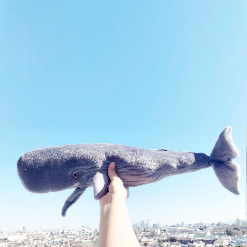 高知インター店 クジラくんさん専用 その他 Acossolutions Es