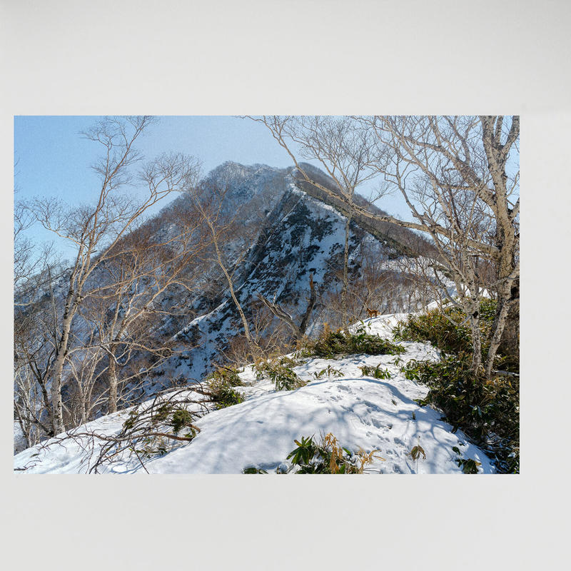 石川竜一『いのちのうちがわ』 | BOOK MARUTE online shop 石川竜一『いのちのうちがわ』 | BOOK MARUTE online shop