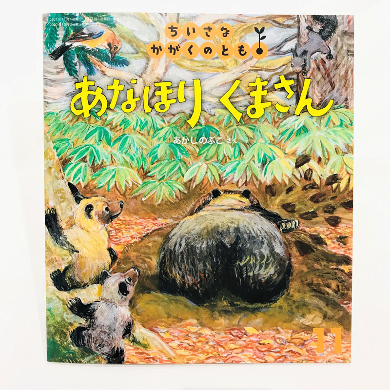 あなほりくまさん ちいさなかがくのとも21年11月号 Bookhousecafe あなほりくまさん ちいさなかがくのとも21年11月号 Bookhousecafe