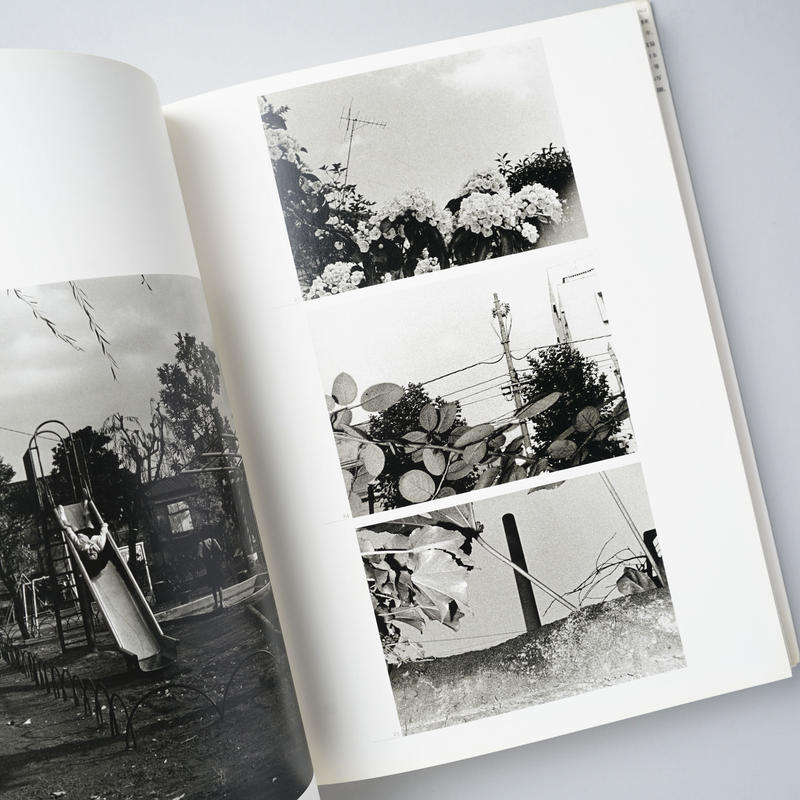 人間の記憶 須田一政 人間の記憶 / Human Memory（With OBI） - 須田 一政 / Issei Suda