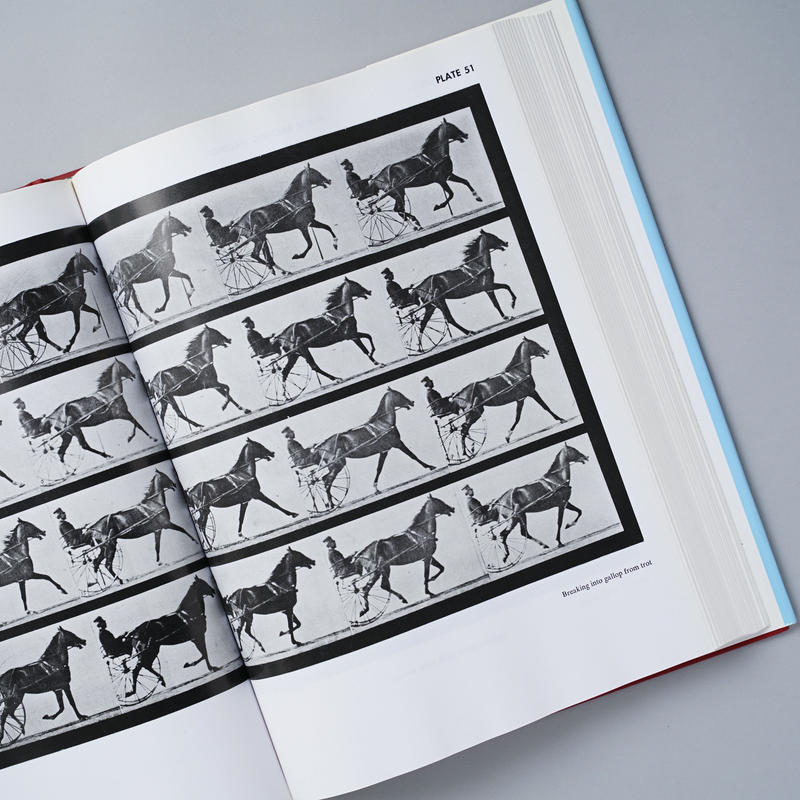 Animals In Motion Edward Muybridge エドワード マイブリ Animals In Motion Edward Muybridge エドワード マイブリ