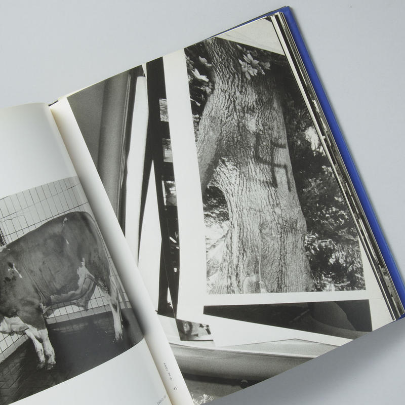 Memories 1984-1987 Seiichi Furuya 古谷誠一