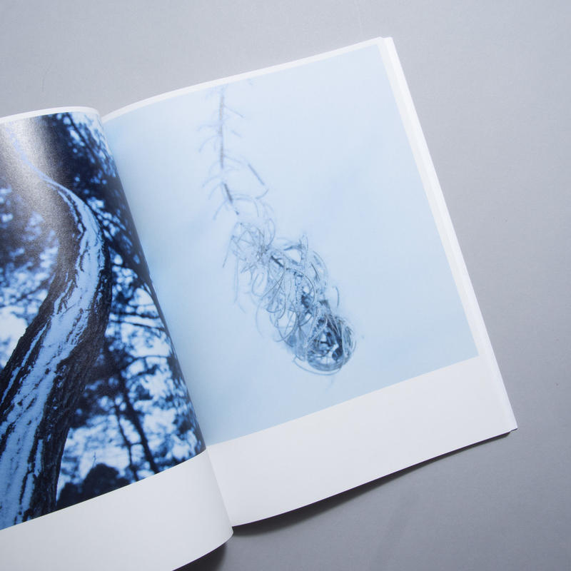 Winter 藤田はるか Haruka Fujita Book Obscura