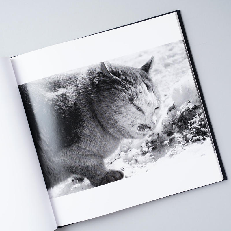 鴉 (RAVENS)/ 深瀬昌久(Masahisa Fukase) | book obscur... 鴉 (RAVENS)/ 深瀬昌久(Masahisa Fukase) | book obscur...