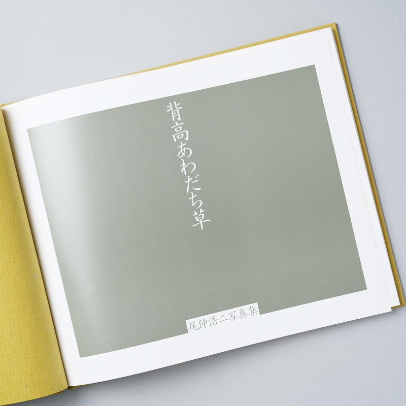 【hysteric Five：Onaka Koji】尾仲浩二　新品未読品 Hysteric five : Onaka Koji(尾仲浩二著) / ミキ書房 / 古本