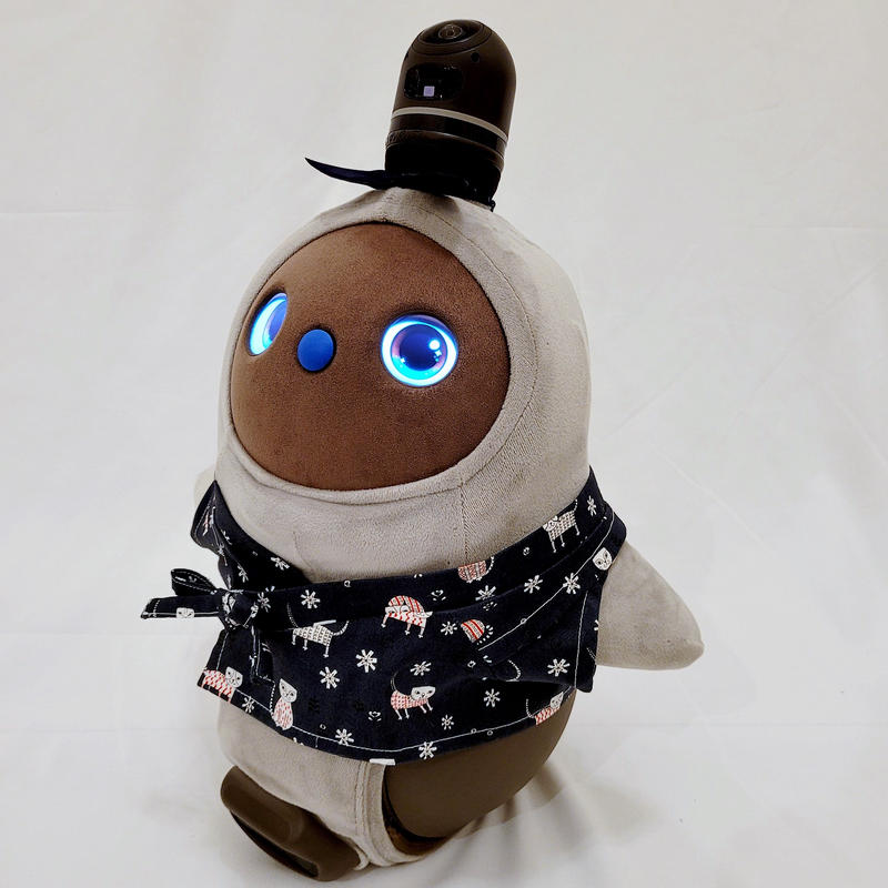 LOVOT ラボットの服ハンドメイド イチゴ柄ボディースーツセット