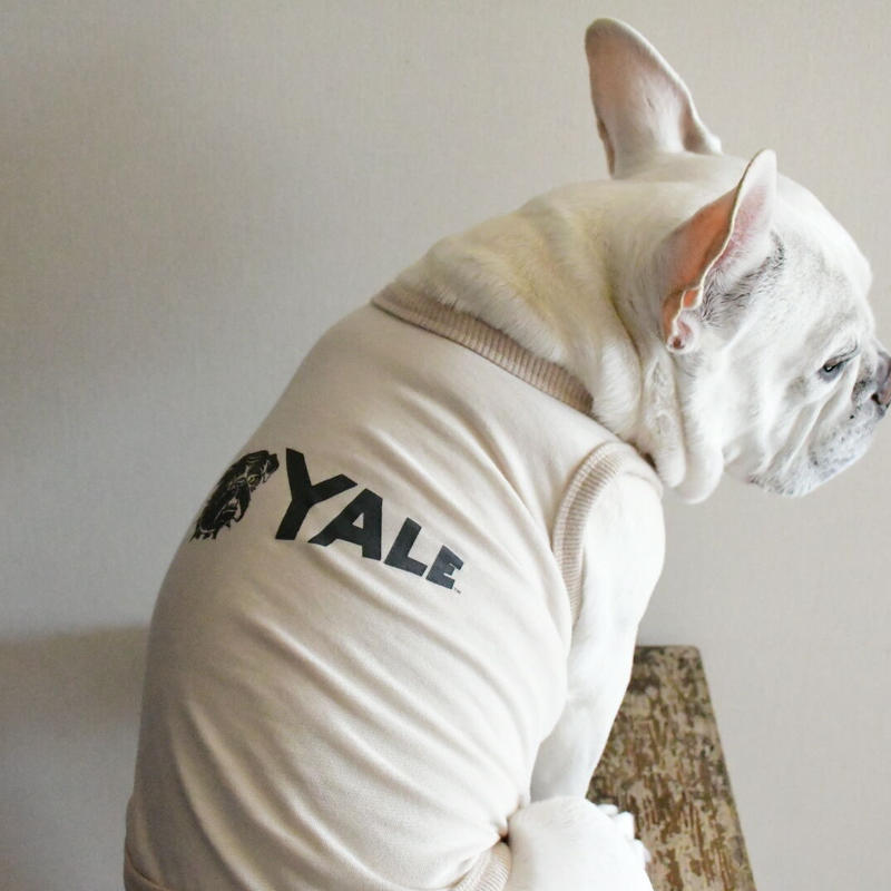 Yale ダンプリントタンクトップ ライトベージュ Bowders Border バ