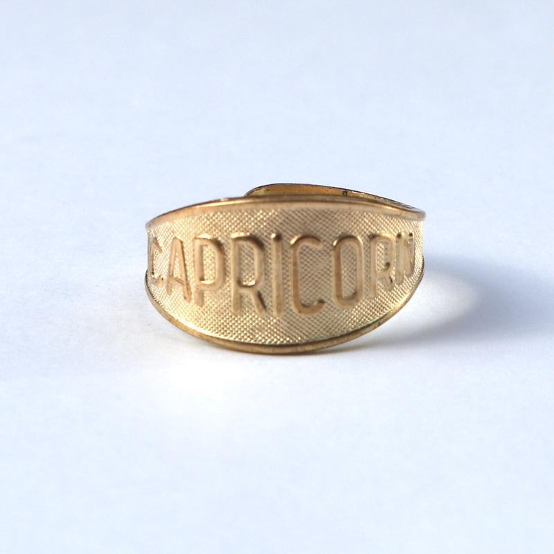 星座リング カプリコーン 山羊座 bp0253 アクセサリーパーツ専門店 Brook