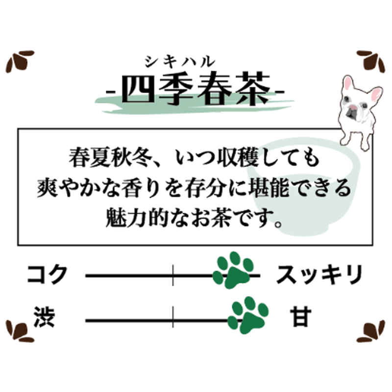 四季春茶 ティーバッグ 贈呈用 Bullpulu Online Store 四季春茶 ティーバッグ 贈呈用 Bullpulu Online Store