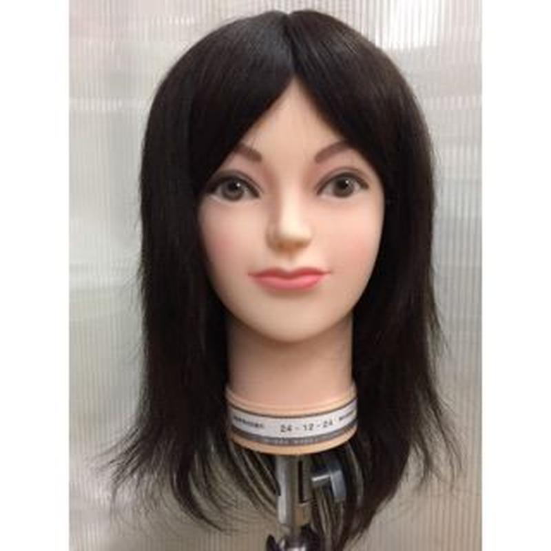 ユーカリ 24 12 24 国家試験レイヤーカット本番用 B Zone For Profe