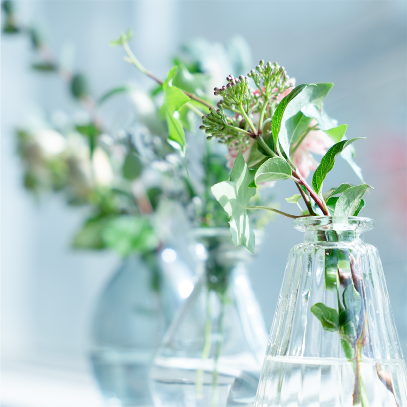 隔週 お花の定期便 ポスト投函 Calm