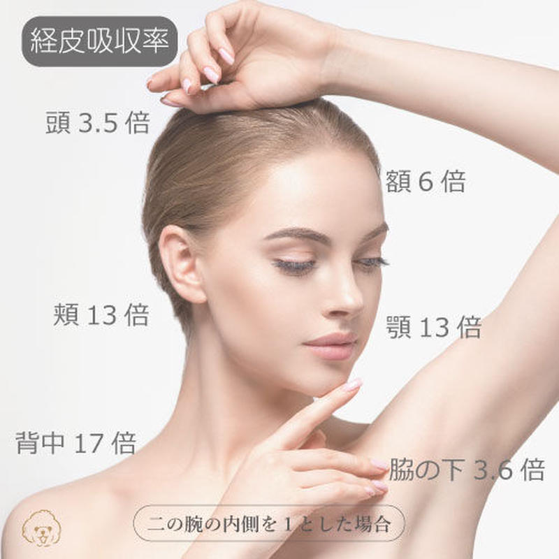 オーガニック ゴールデンホホバオイル 100ml イスラエル産 | CandyFarm