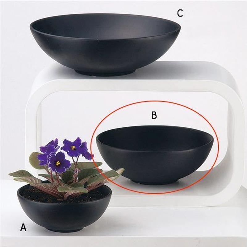 パキポディウムグラキリスにピッタリの Compote Bowl 穴なし Mサイズ Casa