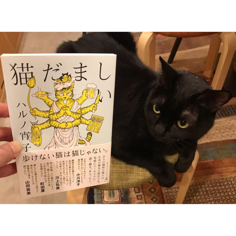猫だましい Cat S Meow Books Virtual Shop B