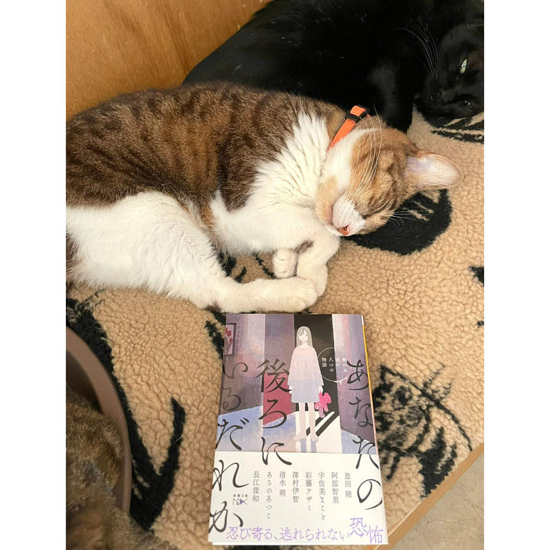 あなたの後ろにいるだれか 眠れぬ夜の八つの物語 Cat S Meow Books Virt