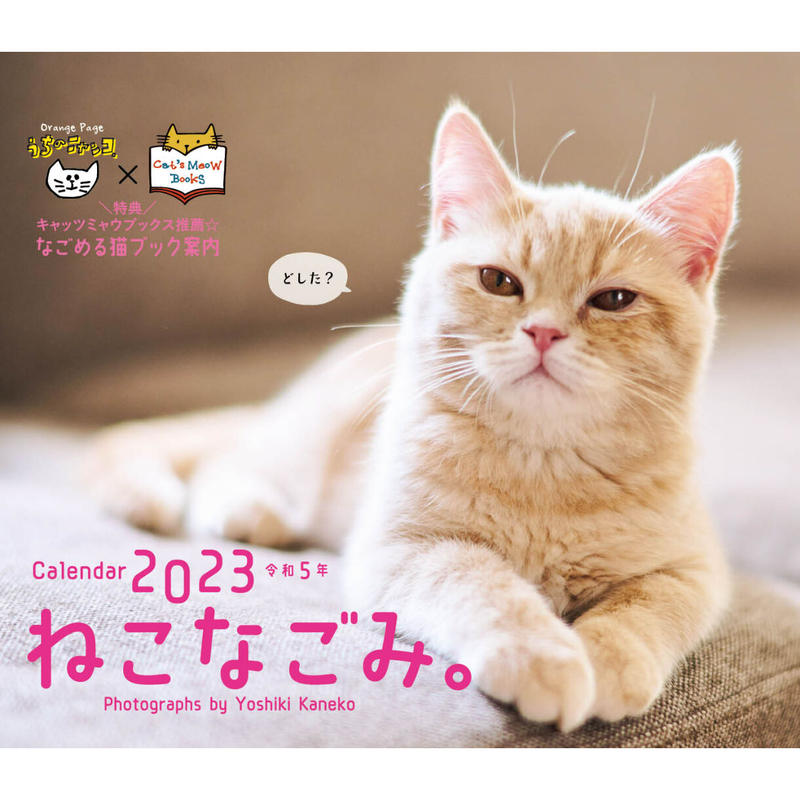 送料無料 特典付き オレンジページ ねこなごみ 卓上カレンダー23 Cat S Me