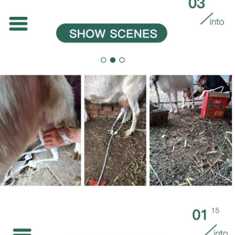 ミルカー 牛 自動 電動搾乳機 容量5l 真空ポンプ 乳搾り ステンレス製 自動 搾乳機 酪農