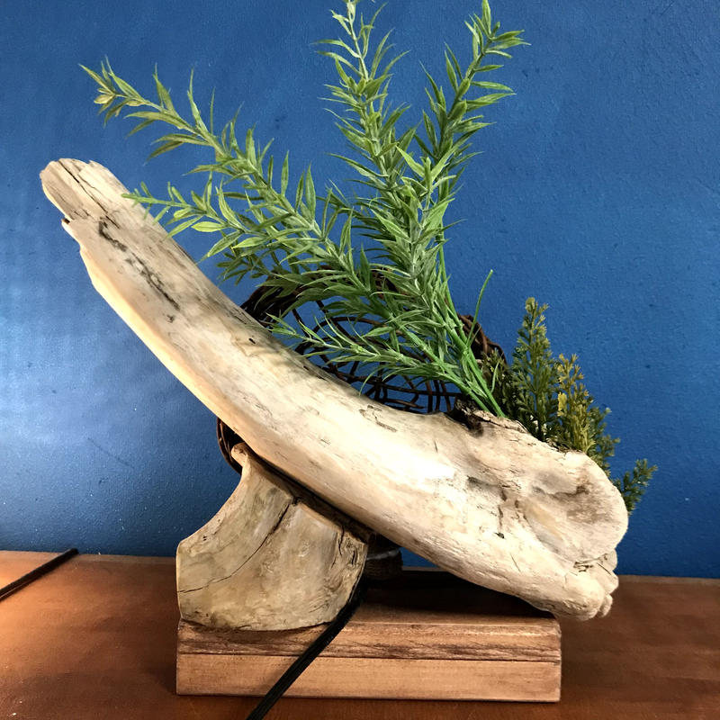 プロ作家流木絵画アート工芸品不思議な鹿？カタツムリ蝸牛月