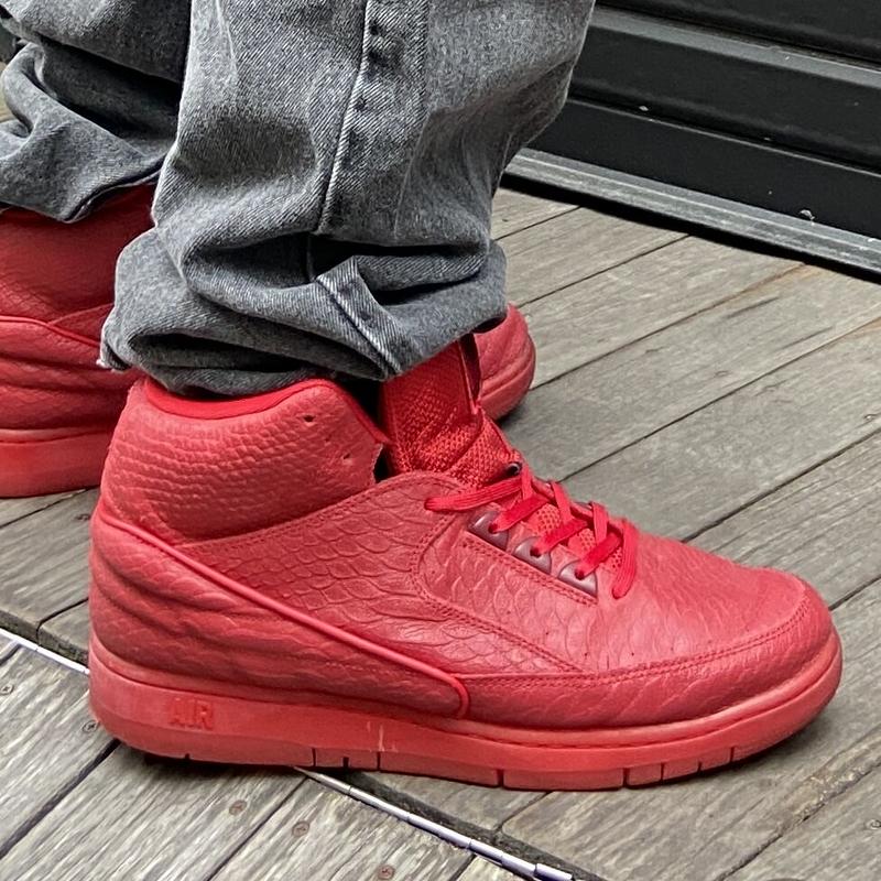 Nike ナイキ エアパイソン 15年製 Used Chameleon Wear