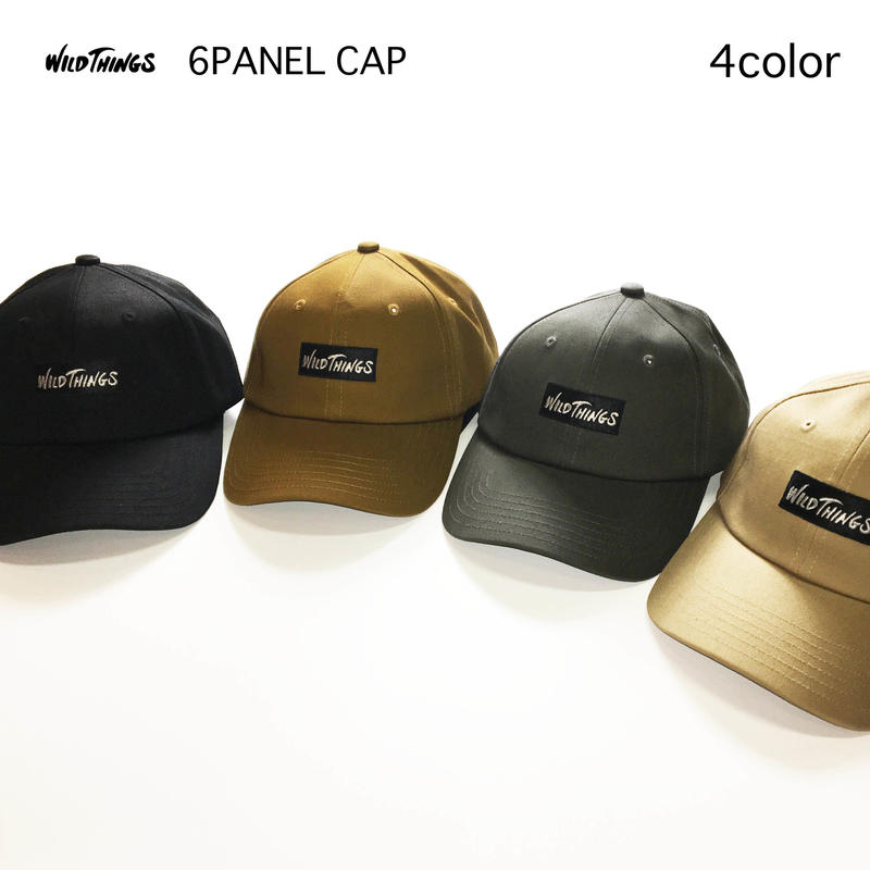 Wild Things ワイルドシングス 6panel Cap 4カラー Wt054u ア