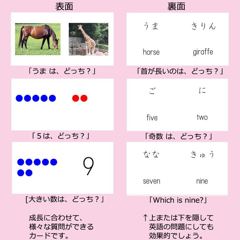 比較して覚える どっちカード 言葉 ひらがな 大小 長短 色 数 数字 英語の学習に Sto