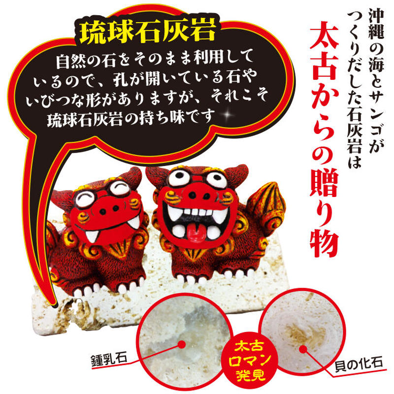 てぃだカンカンシーサーカードスタンド 置物 沖縄土産 お土産 魔除け 厄除け お守り 玄