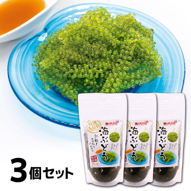 海ぶどう 3個 お試しセット 美らさんぴんokinawa Mart