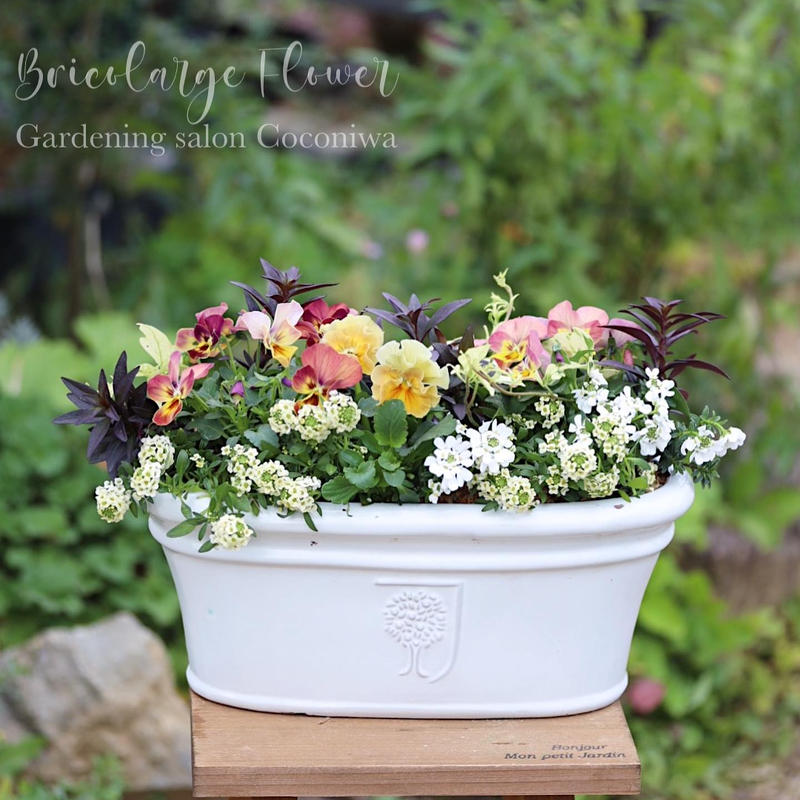 花日和オリジナル シエルブリエとしんしんの寄せ植えブリコラージュフラワー Coconiwa
