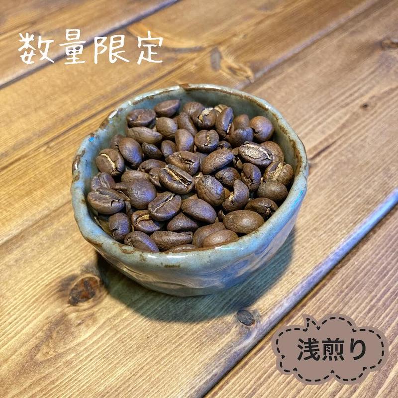 コスタリカ産 アウリガヌスキンイロコガネ 27mm