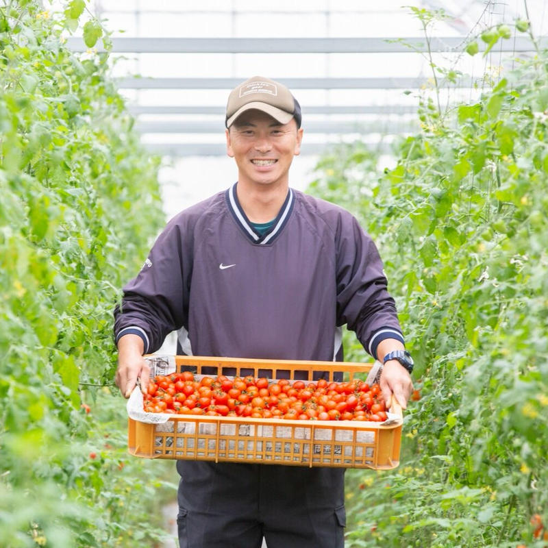 送料込 通年糖度8度以上 ブランドミニトマト アマメイド 2kg 特別価格 キノシタファー