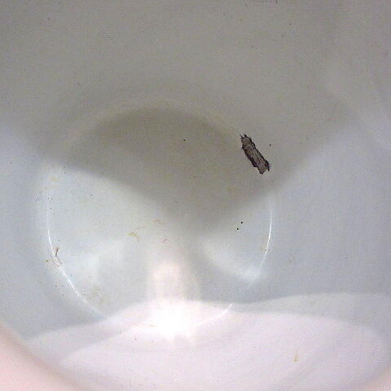 Schwarze würmer im klo